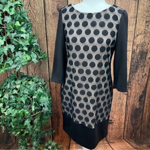 Black dress with polka dots & lace , size 10 - Picture 1 of 8